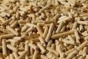 Wood Pellets for Bio Fuel $0