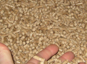Sell Wood pellets from Russia $0