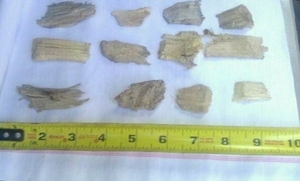 5,000 Tons Citrus Wood Chips  $0