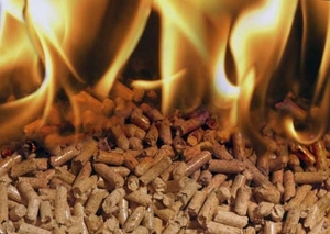 We are selling best quality pine wood pellets for sale $0