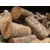 Rubber wood logs