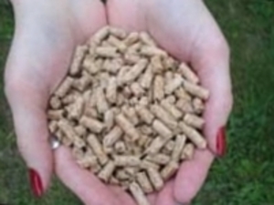Sell Wood Pellets 100-1000 ton/manth $0