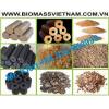 Provide Pine Wood chips