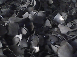 We are a supplier and manufacturer of coconut shell charcoal $0