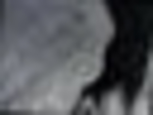 Hardwood Charcoal for Sale $0