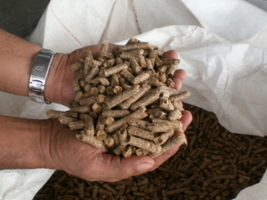 EFB  (Wood) Pellet  $0