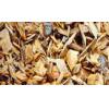 Wood chips for sell
