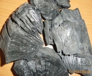 A company from Russia sells birch charcoal $0
