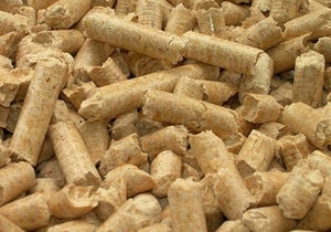 Russian company will sell coniferous wood pellets DIN+ $0