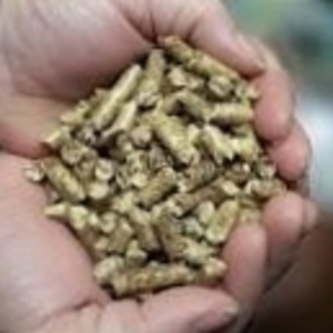 Wood pellets for sale $0