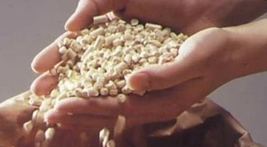 Buy wood pellets Buy wood pellets leads offers 6 mm $0