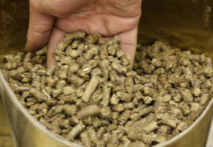 Wood pellet for sale $0