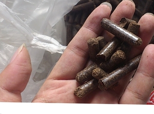 Biomass EFB pellets $0