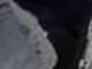 Large quantity of charcoal offered $0