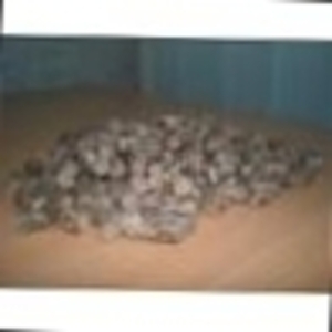 selling wood granules - pellets $0