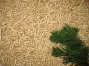 Wood Pellets Briquettes for Sale-Biomas Fuel $0
