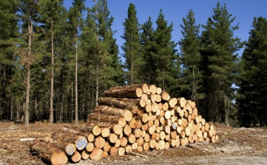 Wood pellet production Serbia